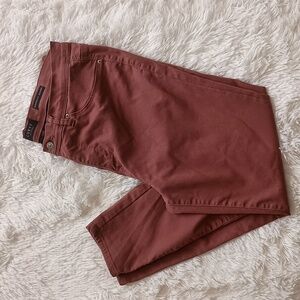 Curve Appeal Minimalist Leggings Rust Ankle Length